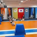 경희대 마린 태권도 이미지