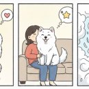 멍털도둑 이미지