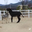 하당목장 이미지