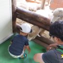 평창아름다운세상 이미지