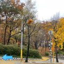 둘리쌍문공원 유아숲체험장 이미지