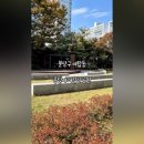 종달새어린이공원 이미지