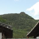 최수학 Daum카페
