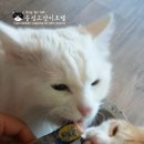 릴리호텔 이미지