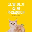 나만 없어 고양이 이미지