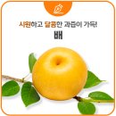달콤한 밥상