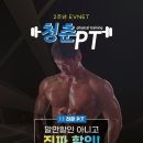 청춘 P.T 이미지