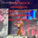 코리아언더독 | 정자동헬스장 코리아언더독 리뷰