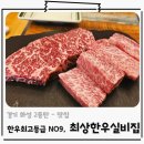 동탄한우맛집 한우 투뿔 1++ NO9 최상급 영천동 소고기집, 최상한우실비집