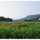 (주)드림의료기 이미지