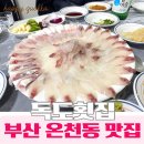 다대온천 | 부산 온천장 맛집 독도횟집｜초장값 5천원으로 즐기는 스키다시 &amp; 모둠회