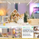 골드 캐터리 이미지
