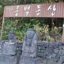 동백1로38번길 | 제주 선흘리 동백동산 탐방코스, 주차장, 대중교통 이용 안내