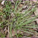 배정고등학교 | 관악중 예비고1 고등학교 배정 상담 전문 학원 중3 수학100점 영어98점 후기