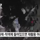 수십 년 분리수거 했는데..."플라스틱 재활용은 사기극" 이미지