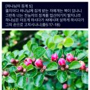 금세상 - 남양주시 진건오남로 809 | 금세상