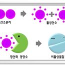 나인원핏 이미지