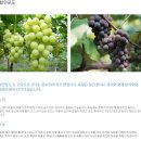 현희농장 이미지