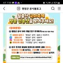 영암군 월출산 국화축제 방문인증샷을 보여주세요(~11.13) 이미지