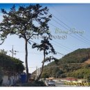 백송민박 이미지