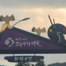 화암카트체험장 이미지