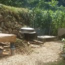 약초랑 닭이랑 이미지