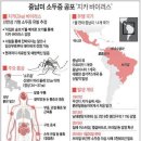 지카 바이러스와 리우 올림픽 그리고 Depopulation 이미지