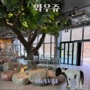 울산 실내 동물원 ‘와우쥬’ 아이와 가볼 만한 곳 후기
