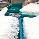 우후죽순 이미지