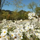 하늘다리민박 이미지