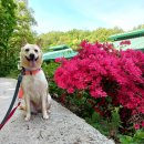 리버하우스 이미지