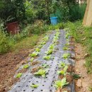 재부 농장 이미지