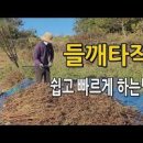 대충.. 들깨 타작 세척 후 건조! 들깨 터는 법 이미지