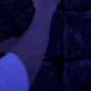 카스월드 이미지