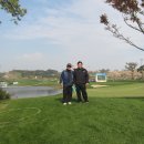 태재골프 이미지