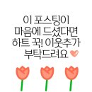 뽀빠이수산시장 - 19025 | 뽀빠이수산시장