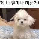 (주)티랜드 이미지