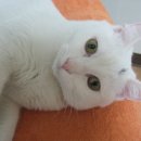 괴정병원 이미지