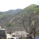영동 삼봉산 Daum카페