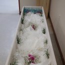 중앙장의사 이미지