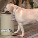 호야 농장 이미지