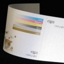 똥여시