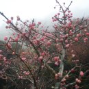 한라의 집 이미지