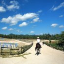 운주산승마자연휴양림 이미지