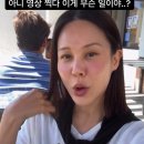 아이비