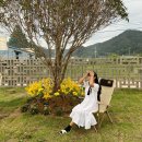 미르당 이미지