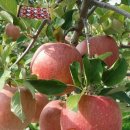 홍은농장 이미지