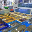 또와캠핑장 이미지