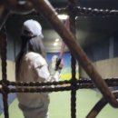다함께야구왕광주 네이버블로그