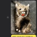 건방진가위
